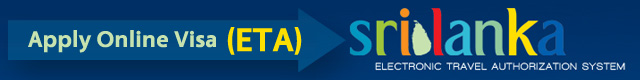 electronic travel authorization system